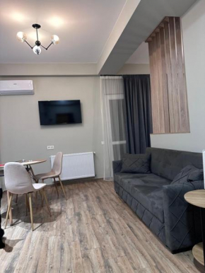 Modern Flat Robakidze